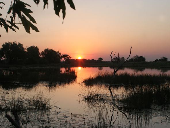 Pom Pom Camp - sunset